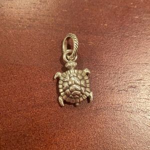 Brighton Turtle Charm